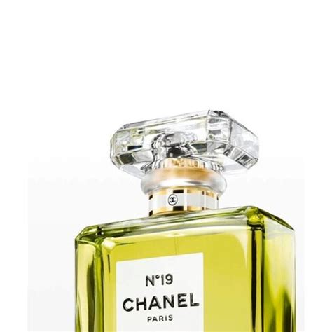 chanel n 19 reviews|n19 chanel discontinued.